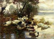unknow artist Ducks 095 oil painting picture wholesale